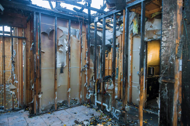 Professional Smoke Damage Removal technician working in Chaska, MN